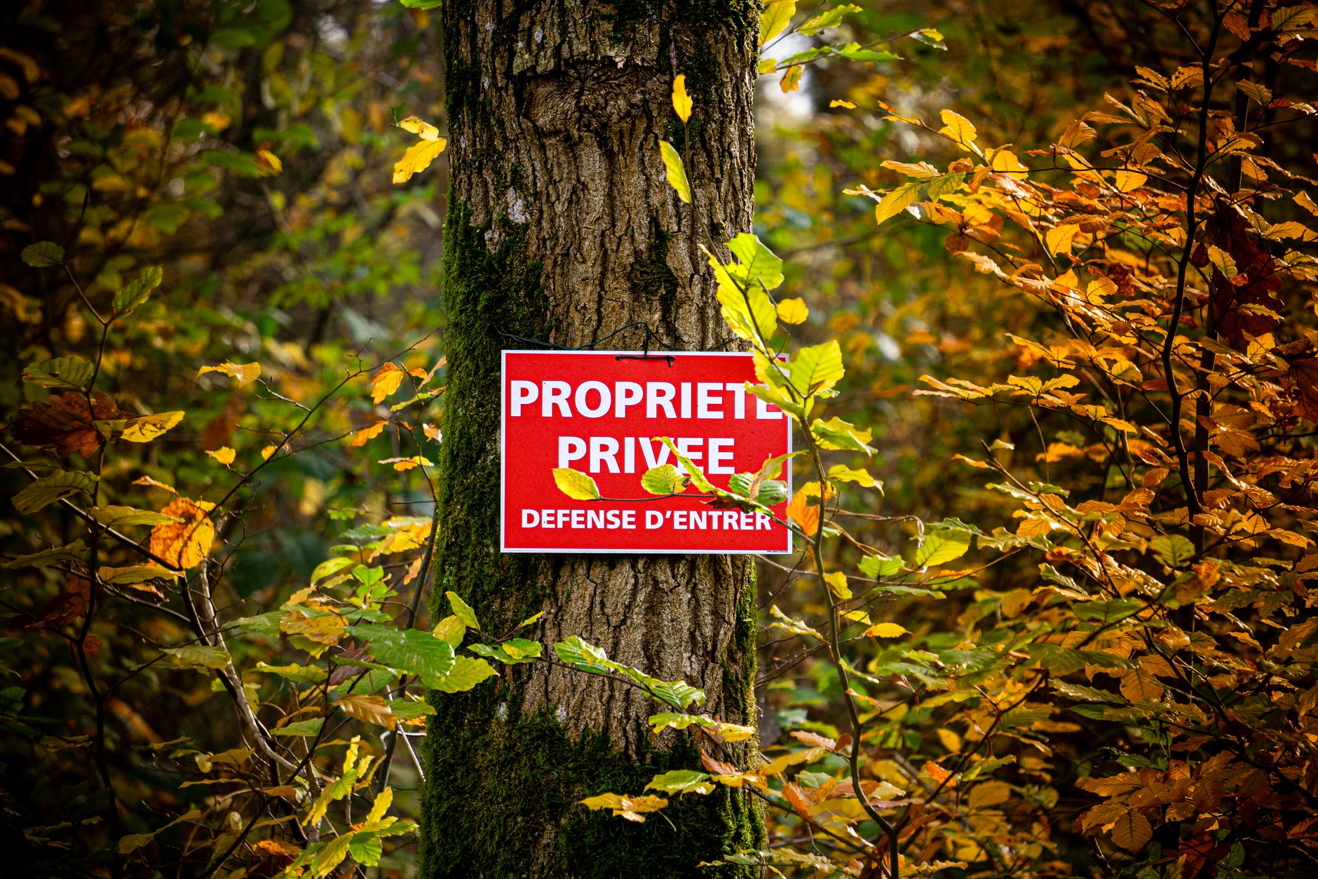 Détective privé à Cergy